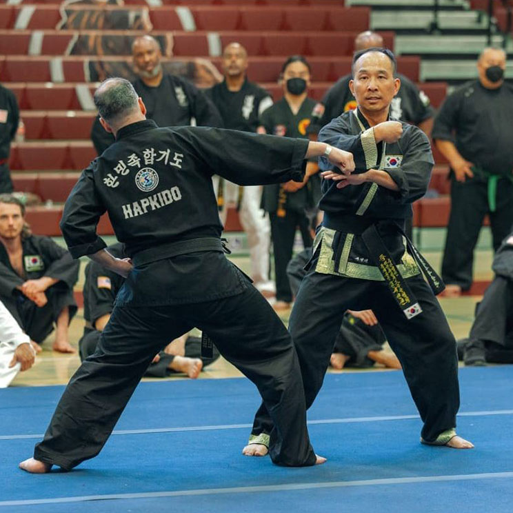 Grandmaster Steve Seo demonstrating Hapkido with another martial artist